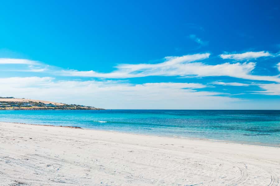 From Penneshaw: Kangaroo Island Shore Excursion Tasting Tour - A food tour built around Kangaroo Island producers