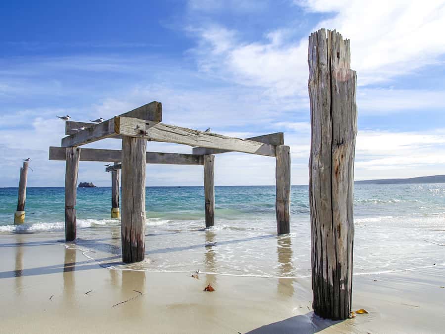 From Perth: 3-Day Margaret River Escape - What the guides add to the trip