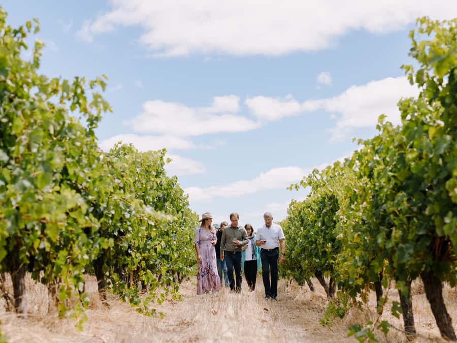 From Perth: 3-Day Margaret River Escape - Practical advice before you go