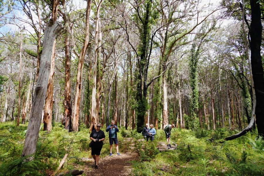 From Perth: Margaret River Region Impression Day Tour - Why this day trip works from Perth