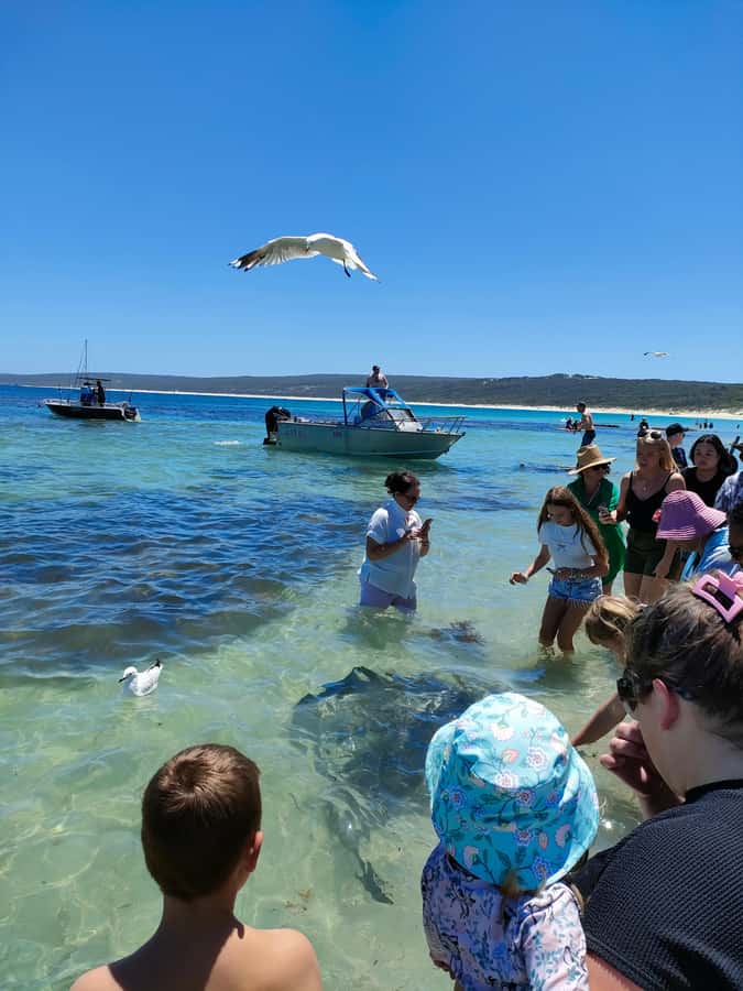 From Perth: Margaret River Region Impression Day Tour - What the small group changes