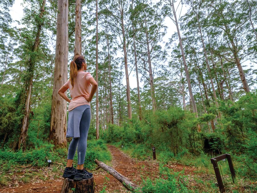 From Perth: Margaret River to Esperance 6-Day Tour - Who should book this trip?