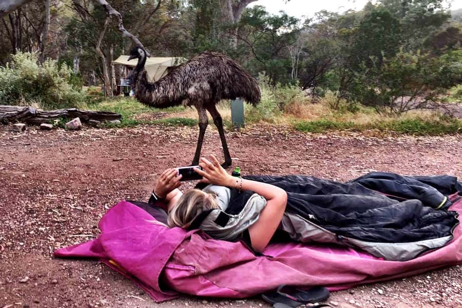 From Perth: Margaret River to Esperance 6-Day Tour - Day 3: A full day in Cape Le Grand National Park