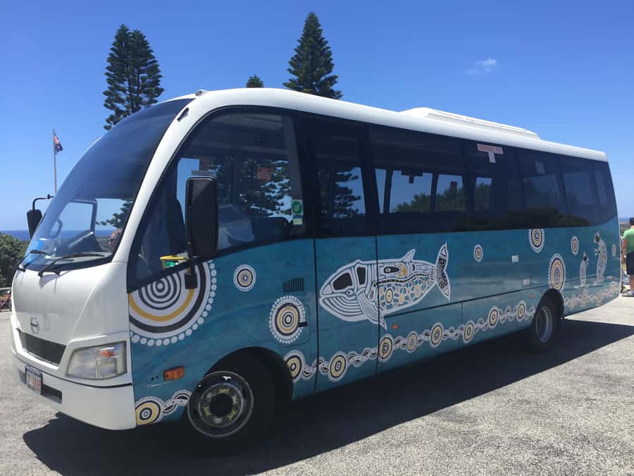 From Perth or Fremantle: Rottnest Island Ferry and Bus Tour - Timing, comfort, and small details that matter