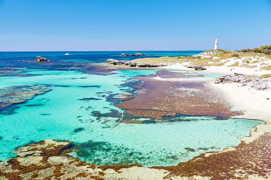 From Perth or Fremantle: Rottnest Island Ferry and Bus Tour - Arriving at Rottnest Island and finding your bearings