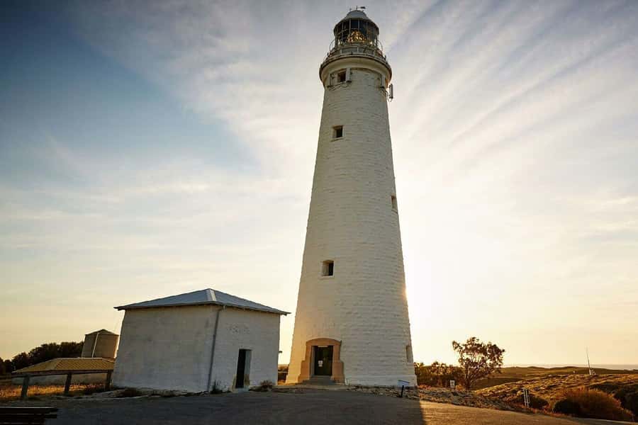From Perth or Fremantle: Rottnest Island Ferry and Bus Tour - The 105-minute Bayseeker bus tour