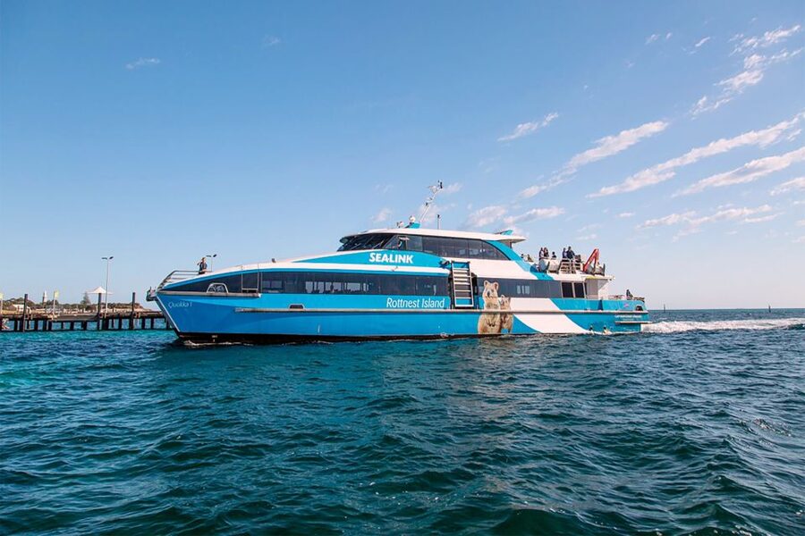 From Perth or Fremantle: Rottnest Island Ferry and Bus Tour - Is $99 good value?