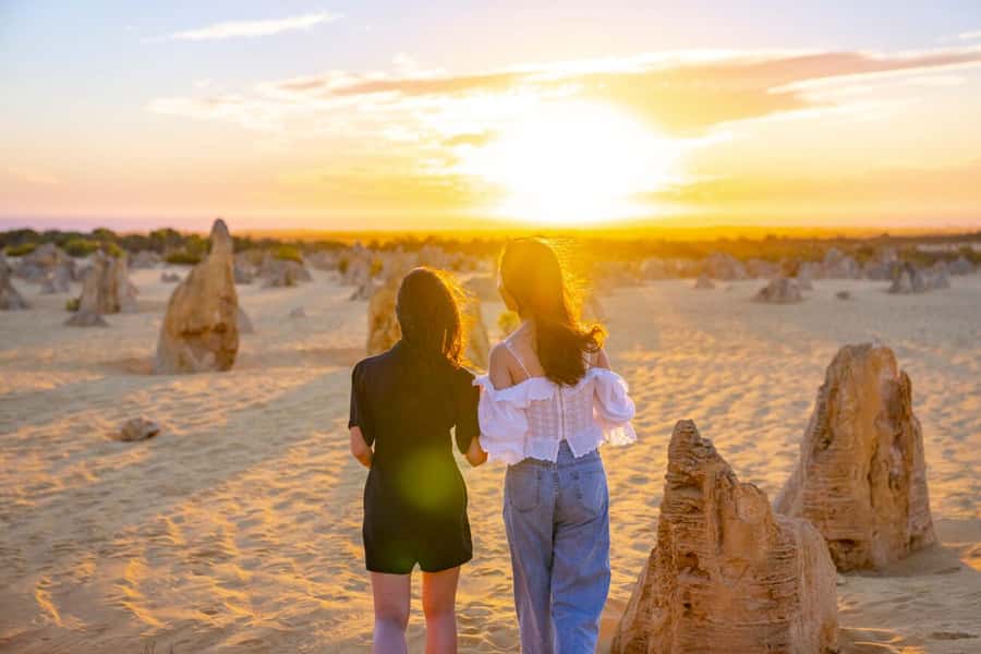 From Perth: Pinnacles Sunset and Stargazing Tour with Dinner - Is $122 good value?