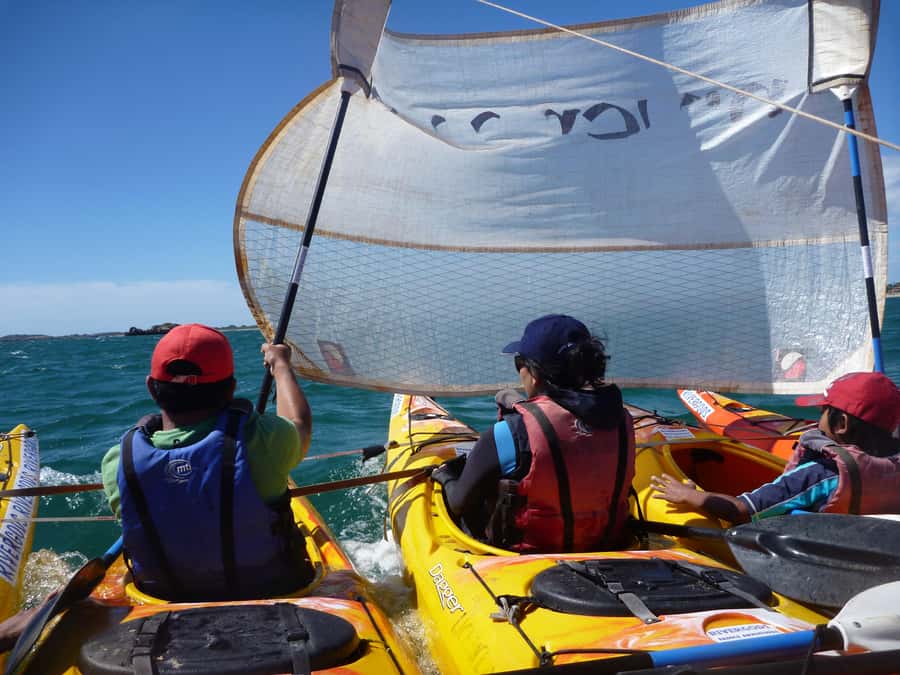 From Perth: Rockingham Seal & Penguin Islands Sea Kayak Tour - Snorkeling and swimming: fun, with a point to check
