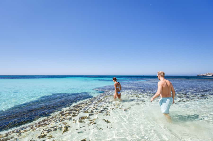 From Perth: Rottnest Island Ferry & Bus Day Tour - Starting at Barrack Street and crossing to Rotto