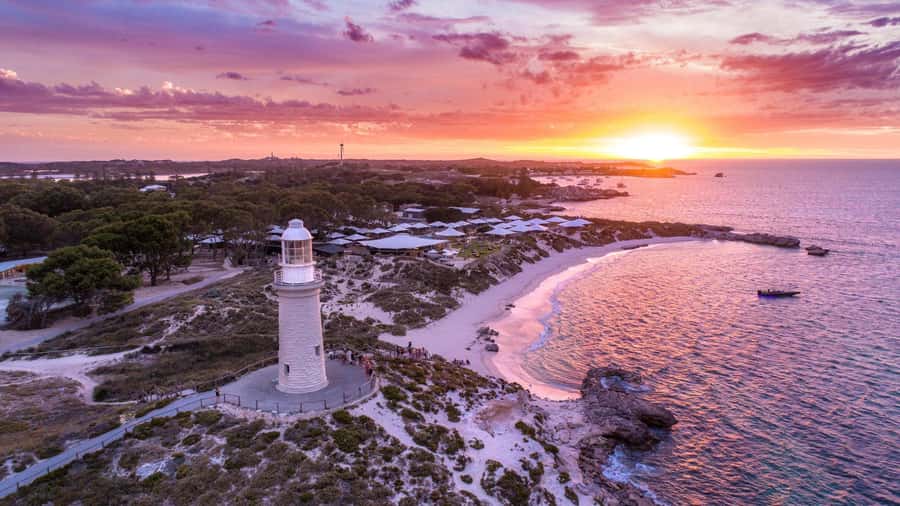 From Perth: Rottnest Island Ferry & Bus Day Tour - Finding the bus at Thomson Bay