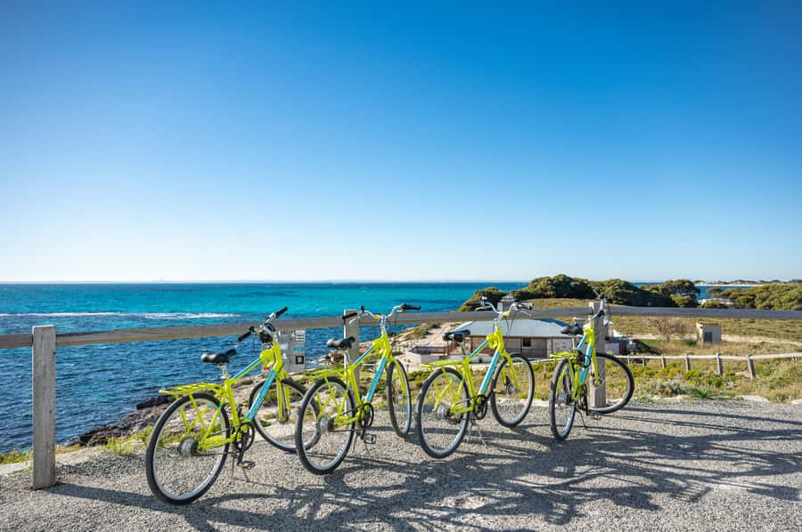 From Perth: Rottnest Island Full-Day Bike and Ferry Trip - Timing: Early Ferry or Later Start?