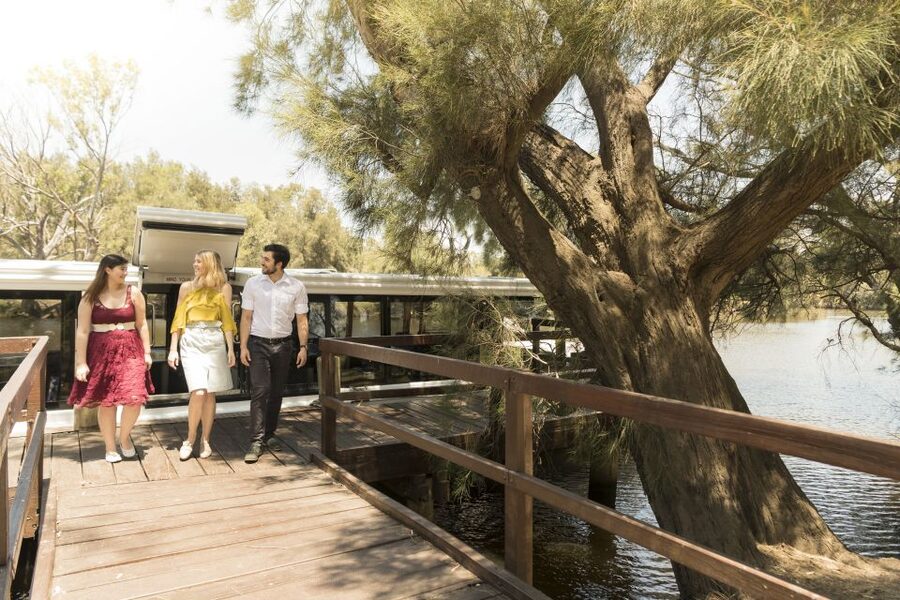 From Perth: Swan Valley Cruise, Winery, Cheese & Lunch - The return cruise becomes the social half