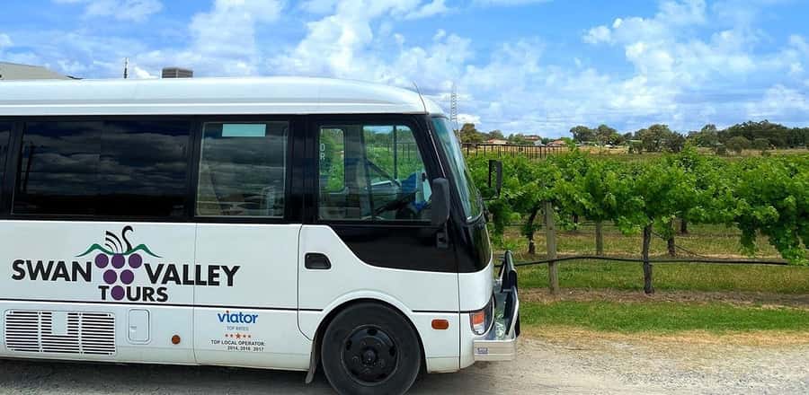 From Perth: Swan Valley Winery & Brewery Day Tour With Lunch - Why this Swan Valley day works well from Perth