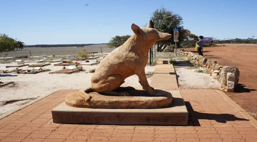 From Perth: Wave Rock, York and Aboriginal Cultural Tour - The early run through York and the Perth Hills