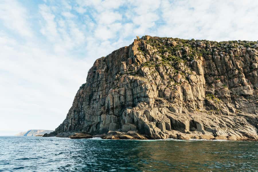 From Port Arthur: Tasman Island Wilderness Cruise - Key points to know before you go