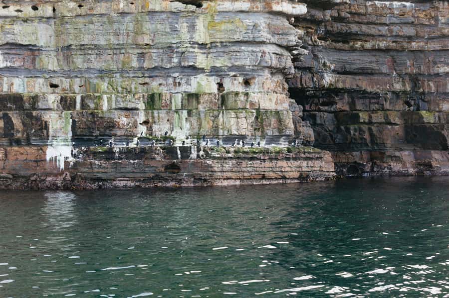 From Port Arthur: Tasman Island Wilderness Cruise - Sea caves, archways, waterfalls, and blowholes