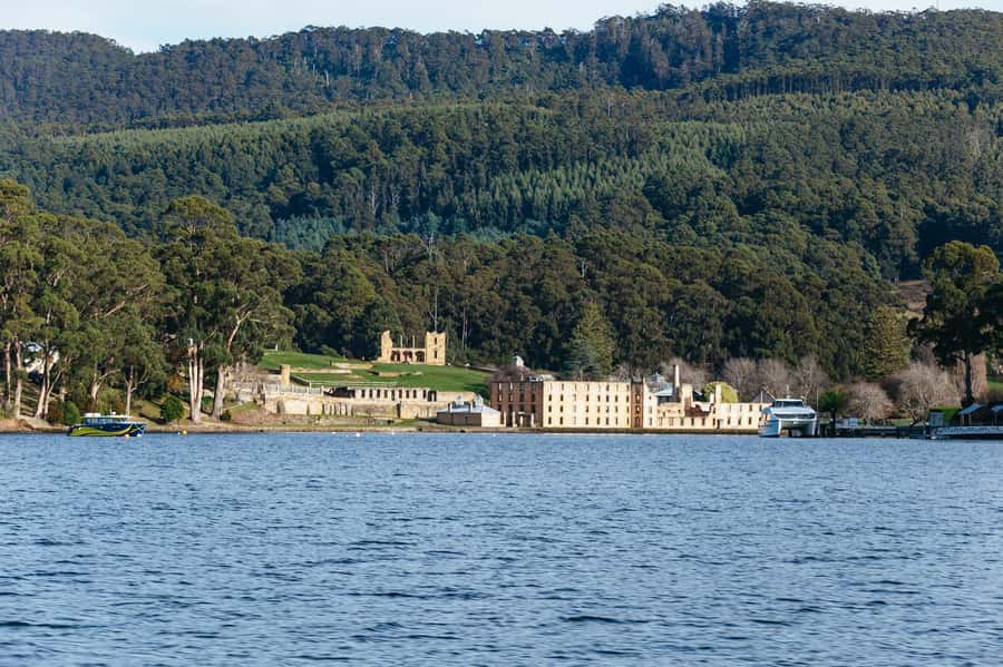 From Port Arthur: Tasman Island Wilderness Cruise - Seals, dolphins, and the chance of whales