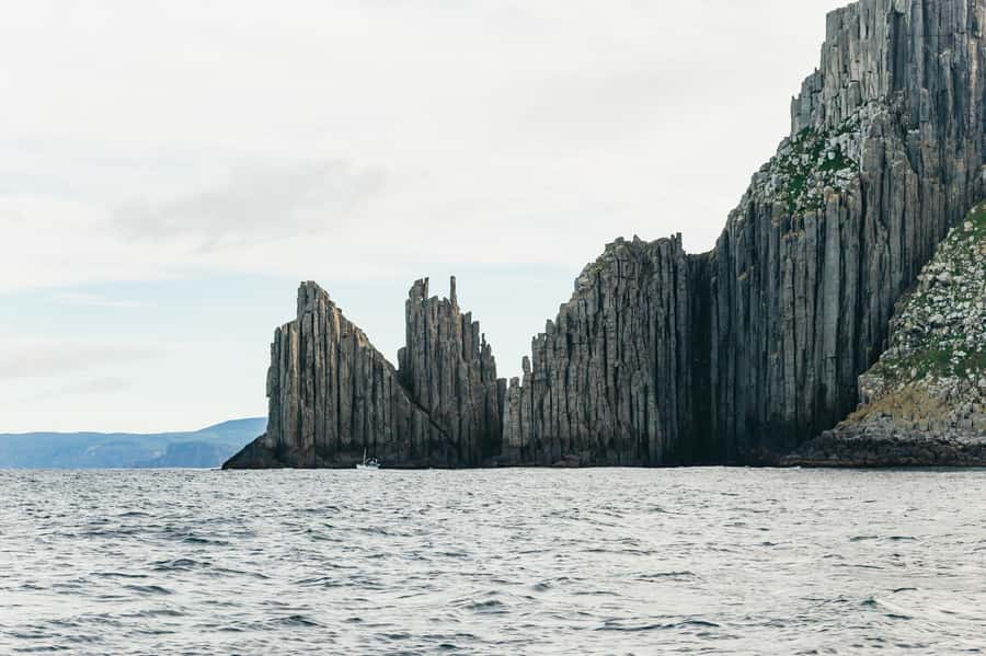 From Port Arthur: Tasman Island Wilderness Cruise - Guides, commentary, and how much you learn