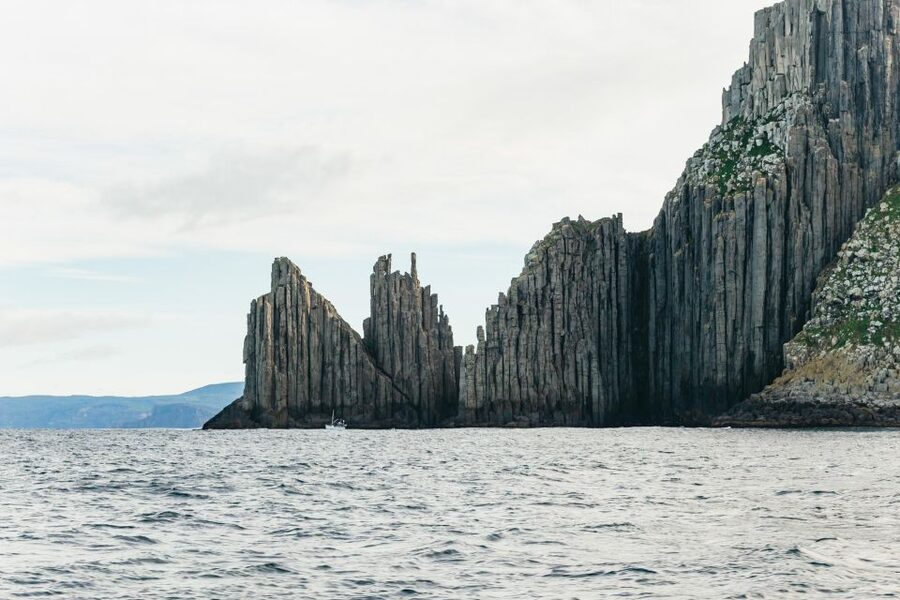 From Port Arthur: Tasman Island Wilderness Cruise - Is $127 good value for three hours?