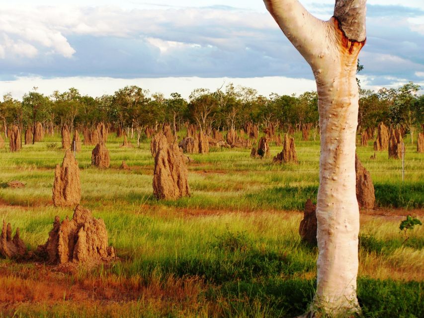 From Port Douglas: Atherton Tablelands Adventure - The guides are a major part of the value
