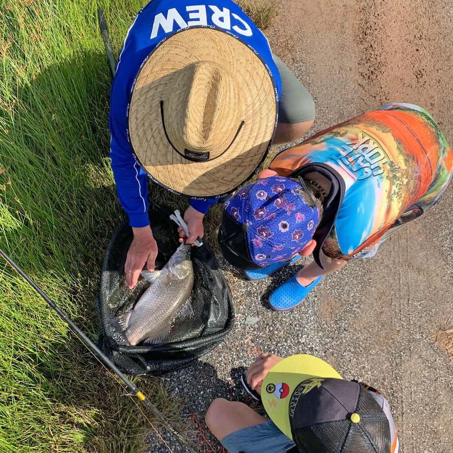 From Port Douglas: Barramundi Pond Fishing with Lunch - Meeting the Barra at Hook-A-Barra