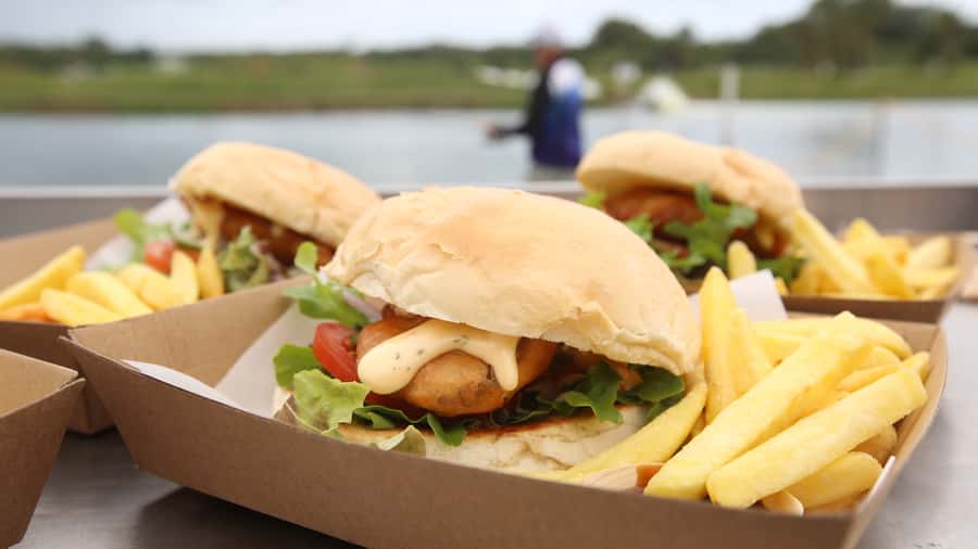 From Port Douglas: Barramundi Pond Fishing with Lunch - The 210-minute day from Port Douglas