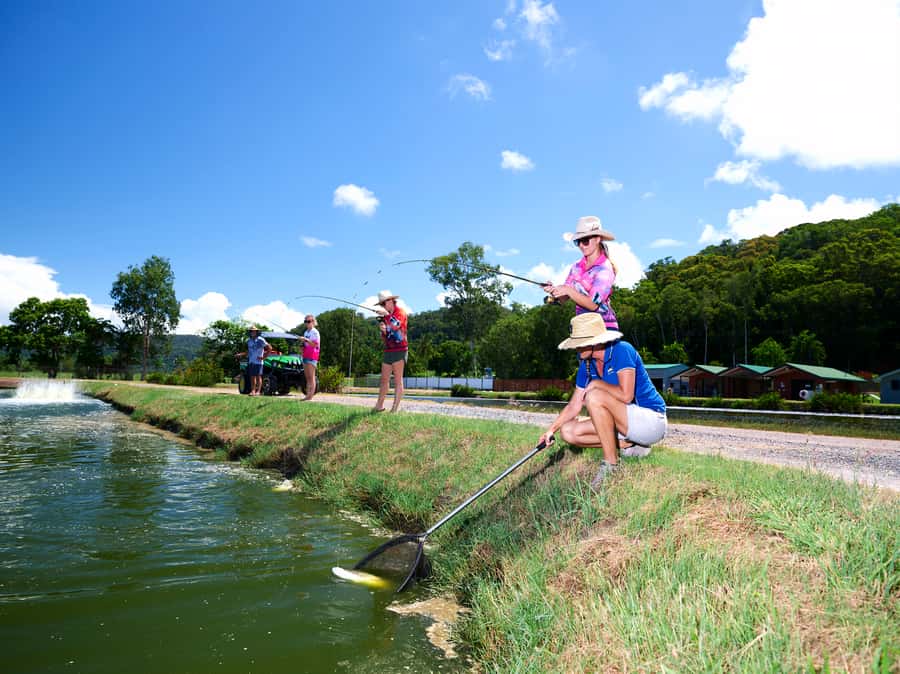 From Port Douglas: Barramundi Pond Fishing with Lunch - My booking advice