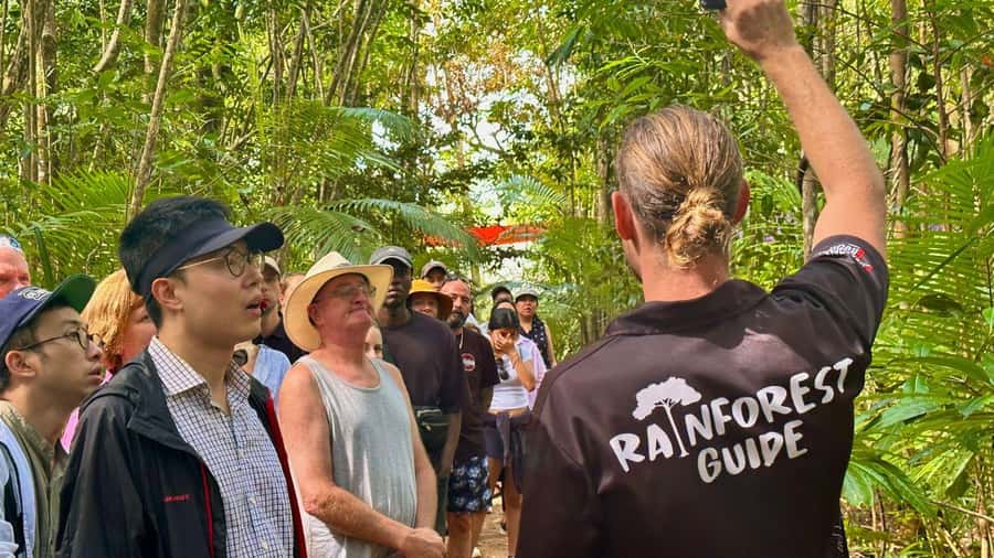 From Port Douglas: Daintree Rainforest & Mossman Gorge Tour - Walking the Dubuji Boardwalk