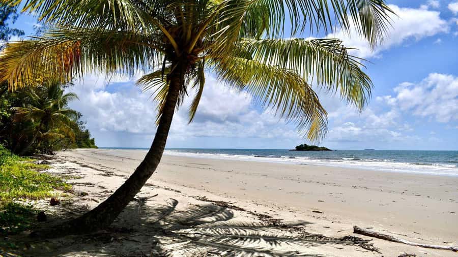 From Port Douglas: Daintree Rainforest & Mossman Gorge Tour - What to pack for this particular day