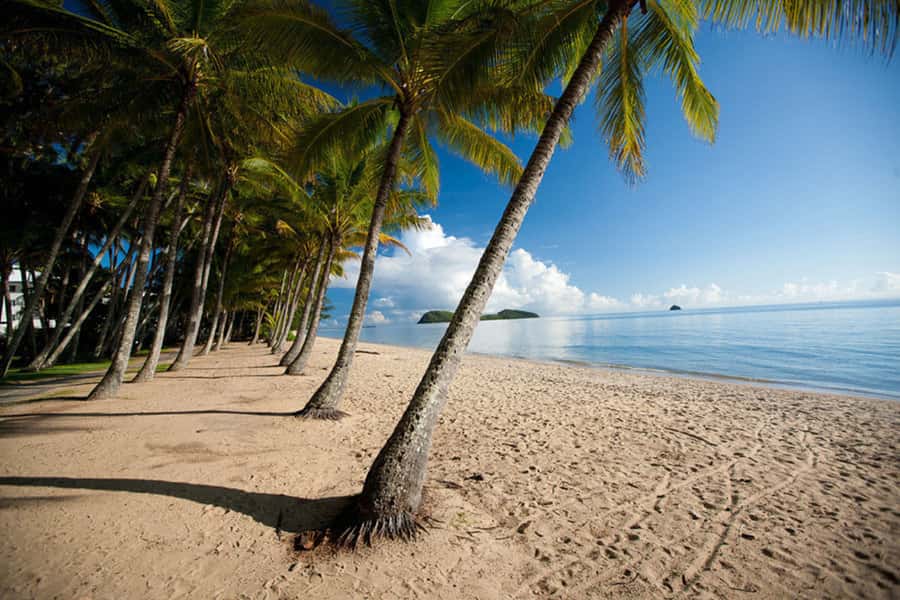 From Port Douglas: Kuranda Tour with Skyrail & Scenic Train - Practical value, weather, and booking advice