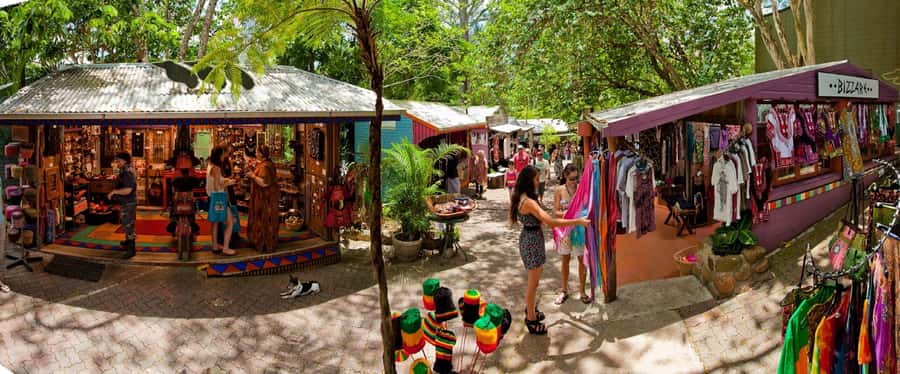From Port Douglas: Kuranda Tour with Skyrail & Scenic Train - What the guides add to the day