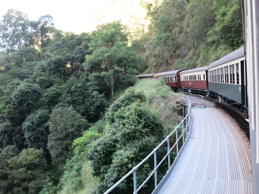 From Port Douglas: Kuranda via Scenic Rail or Skyrail Option - A final stop at Palm Cove