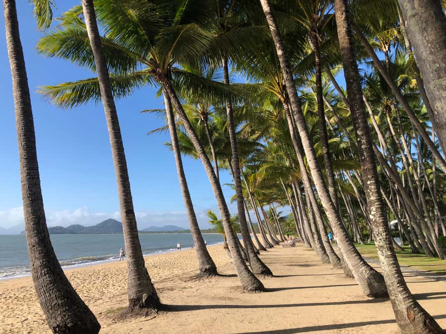 From Port Douglas: Kuranda via Scenic Rail or Skyrail Option - The Captain Cook Highway sets the scene