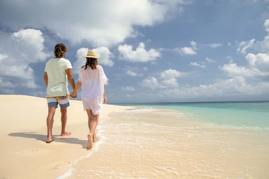 From Port Douglas: Outer Reef Cruise by Luxury Catamaran - Returning to Port Douglas by sail