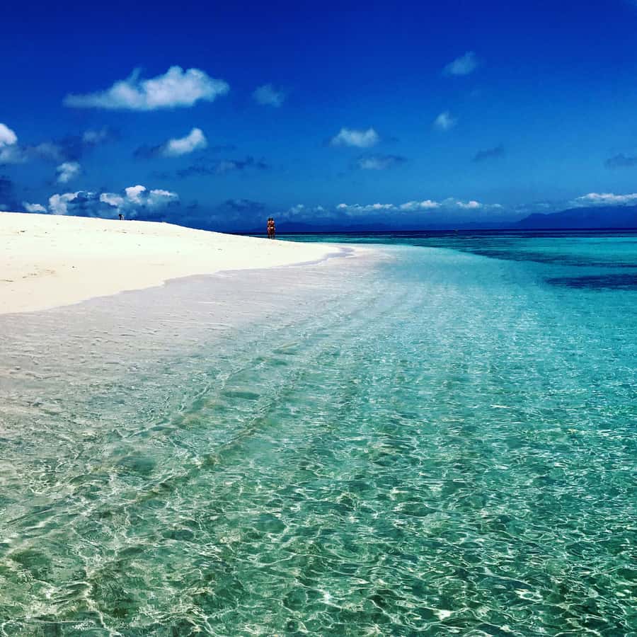 From Port Douglas: Outer Reef Cruise by Luxury Catamaran - What makes this eco-focused catamaran different