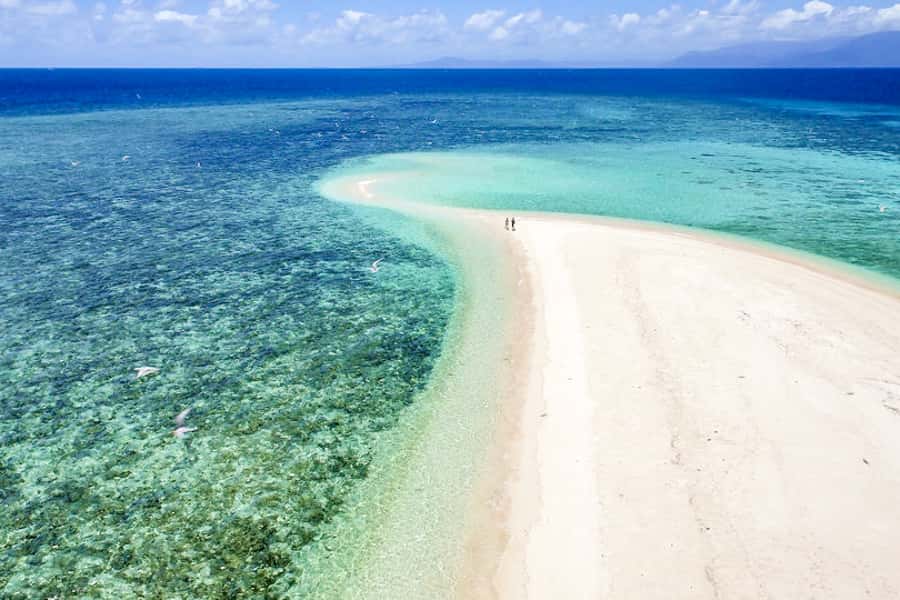 From Port Douglas: Outer Reef Cruise by Luxury Catamaran - Is $240 good value for a nine-hour reef day?