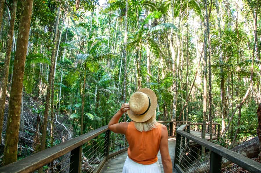 From Rainbow Beach: K'gari Fraser Island Full-Day Coach Tour - Who will enjoy this one-day K’gari tour?