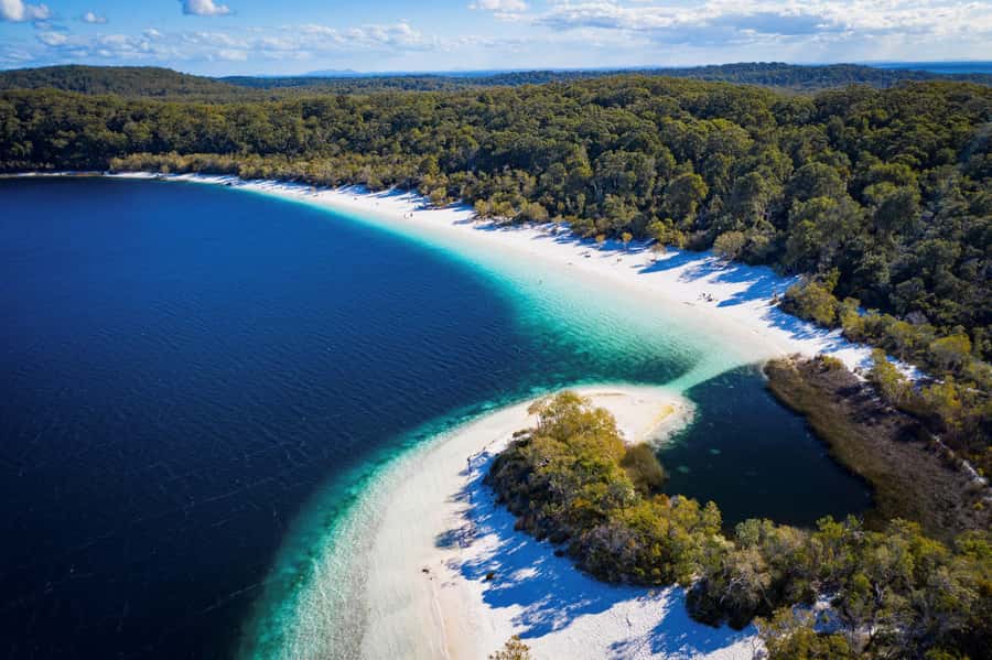 From Rainbow Beach: K'gari Fraser Island Full-Day Coach Tour - Lake McKenzie brings the bright-water moment