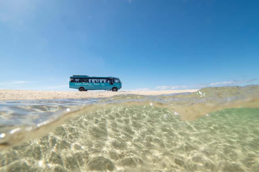 From Rainbow Beach: K'gari Fraser Island Full-Day Coach Tour - 75 Mile Beach and the Maheno Shipwreck