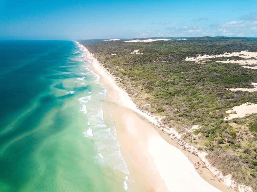 From Rainbow Beach: K'gari Fraser Island Full-Day Coach Tour - Eli Creek offers a freshwater float