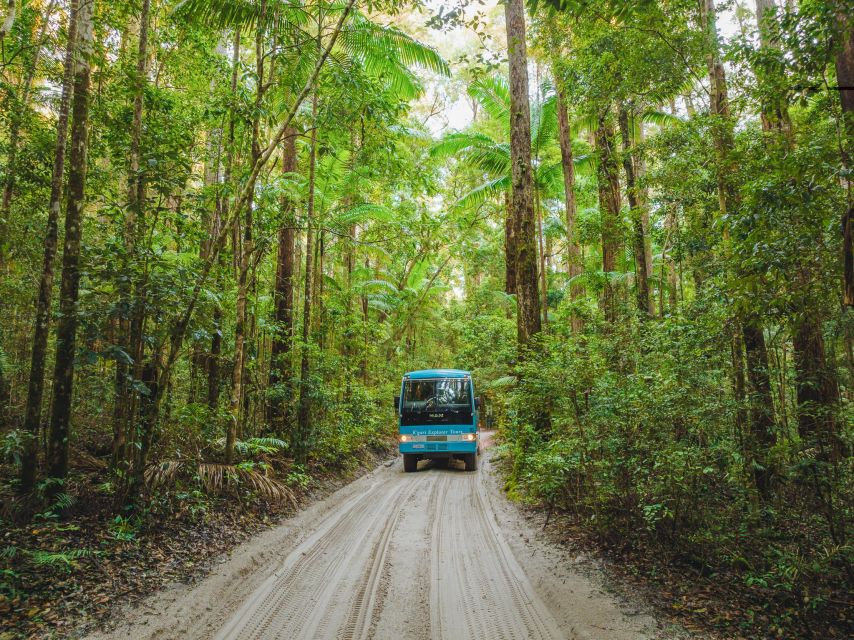 From Rainbow Beach: K'gari Fraser Island Full-Day Coach Tour - Lunch at the resort: convenient, but keep expectations sensible