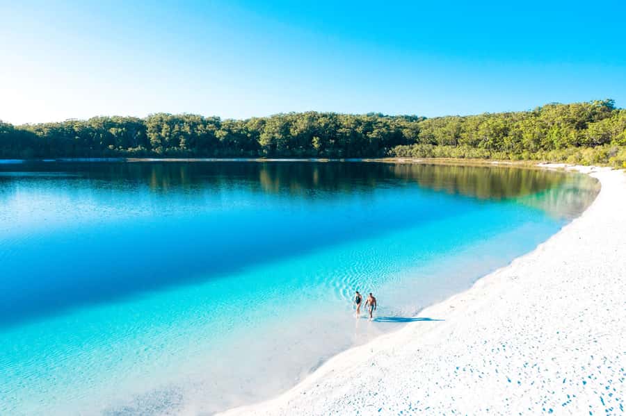 From Rainbow Beach: K'gari Fraser Island Full-Day Coach Tour - How much does the $184 price buy you?