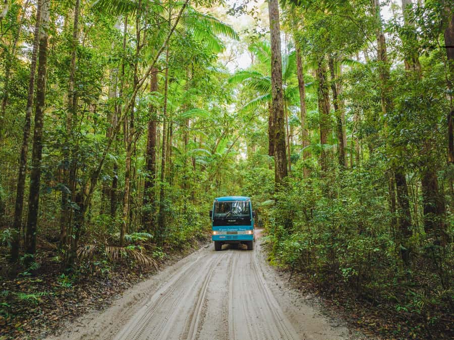 From Rainbow Beach: K'gari Fraser Island Full-Day Coach Tour - Practical details before you book