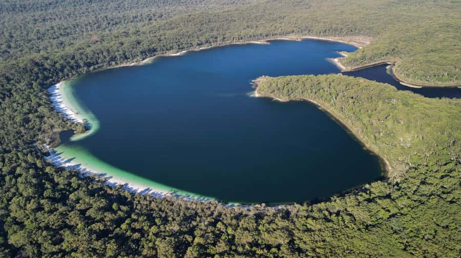 From Rainbow Beach: K'gari (Fraser Island) Full-Day Tour - The SS Maheno shipwreck and its strange past