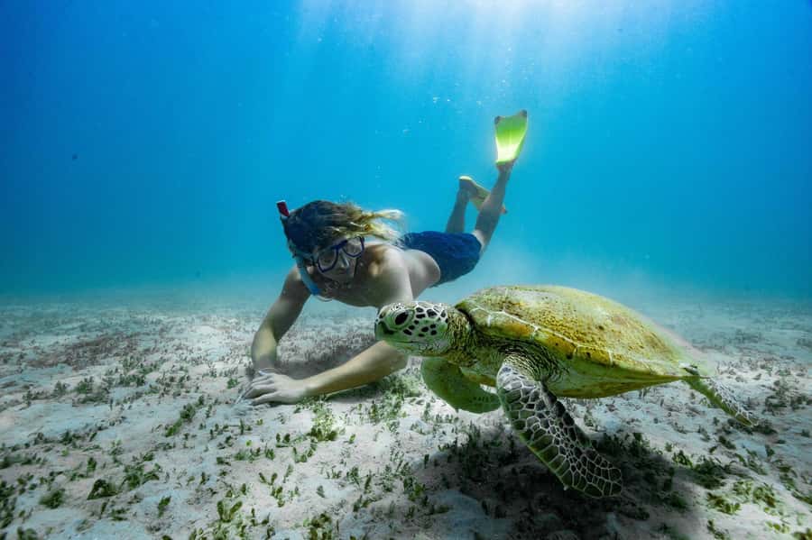 From Rosslyn: Great Keppel Island Adventure Tour with Lunch - Why this Great Keppel Island trip feels like three tours in one