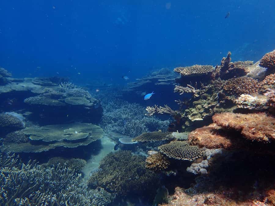From Rosslyn: Great Keppel Island Adventure Tour with Lunch - Who will get the most from this tour