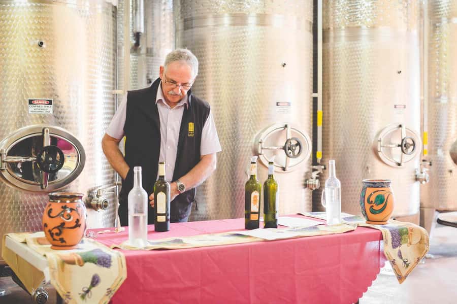 From Sydney: Award-Winning Hunter Valley Wine & Cheese Tour - Why this Hunter Valley day works from Sydney