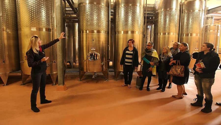 From Sydney: Award-Winning Hunter Valley Wine & Cheese Tour - Four Sydney pickup points before 8:00