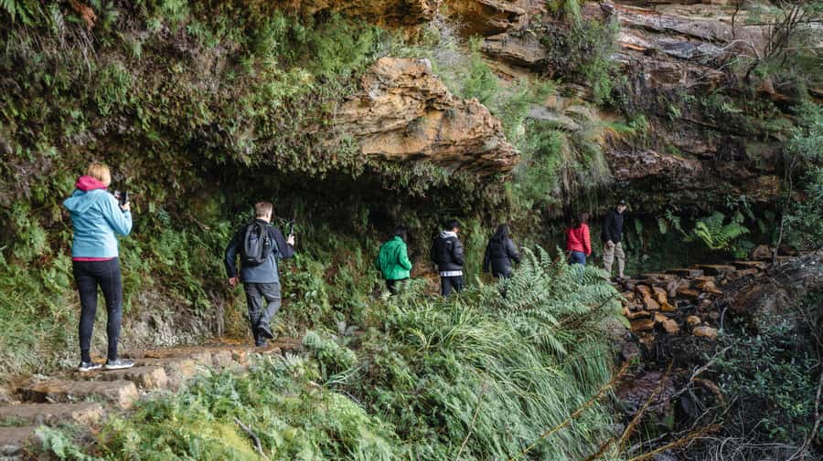 From Sydney: Blue Mountains Bushwalks & Featherdale Tour - Weather, fitness, and the real pace
